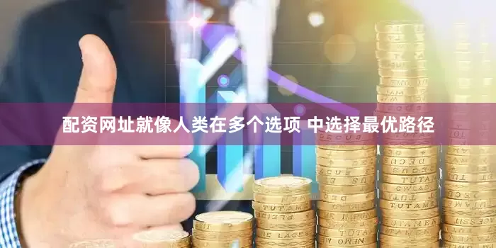 配资网址就像人类在多个选项 中选择最优路径