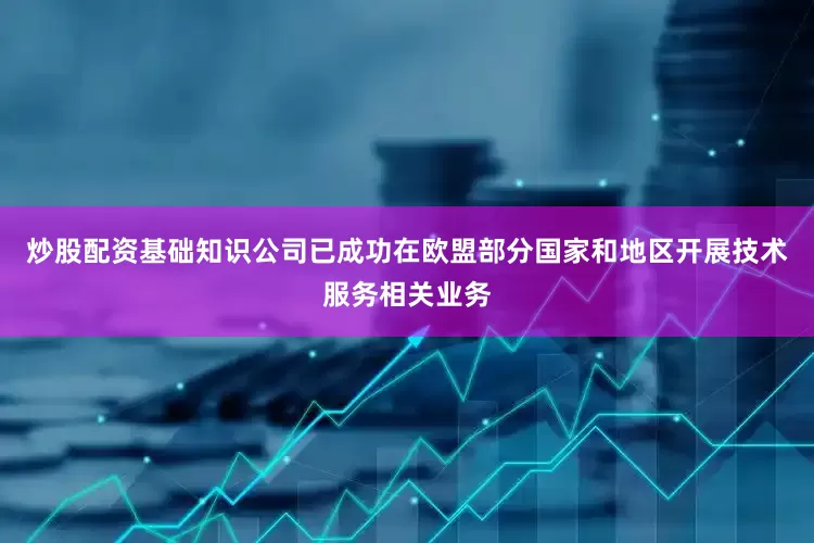 炒股配资基础知识公司已成功在欧盟部分国家和地区开展技术服务相关业务