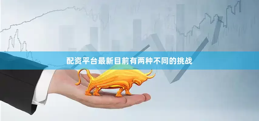 配资平台最新目前有两种不同的挑战