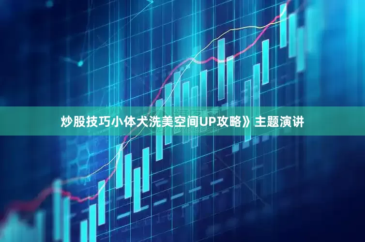 炒股技巧小体犬洗美空间UP攻略》主题演讲