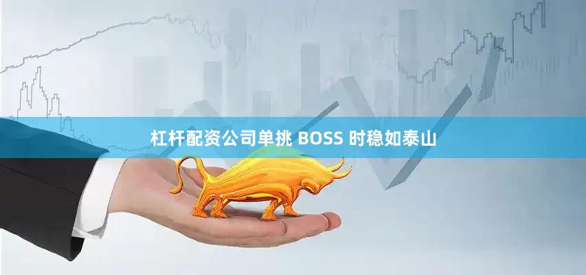 杠杆配资公司单挑 BOSS 时稳如泰山